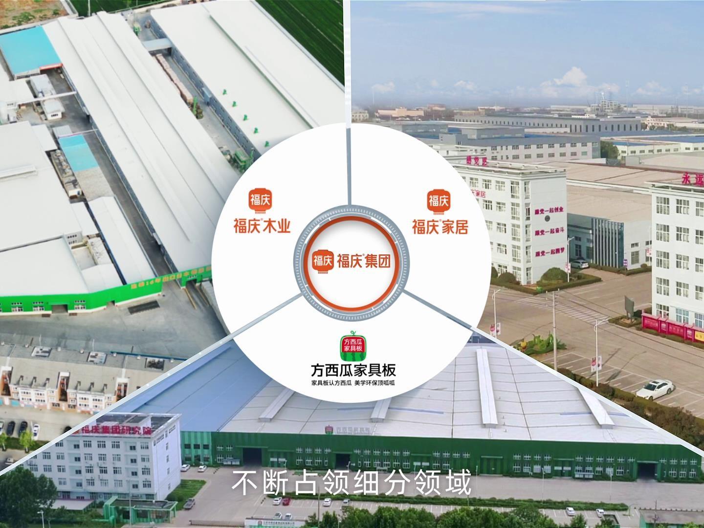 福慶集團2023年宣傳片丨杭州集團宣傳片拍攝制作